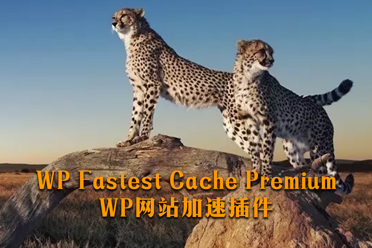 WP Fastest Cache Premium v1.5.9 WordPress缓存加速插件高级版