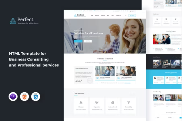 完美 – 业务咨询 HTML 模板