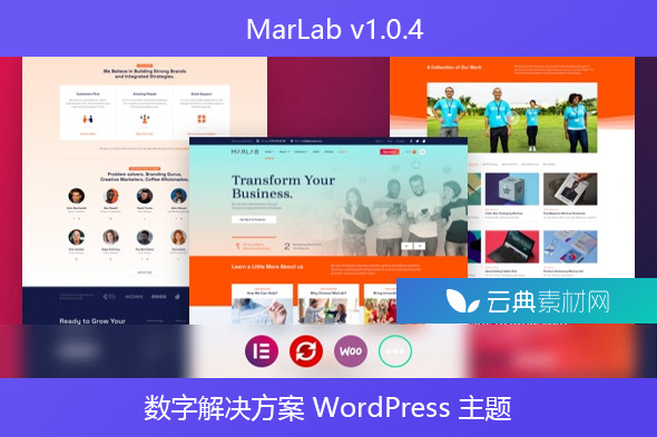 MarLab v1.0.4 – 数字解决方案 WordPress 主题