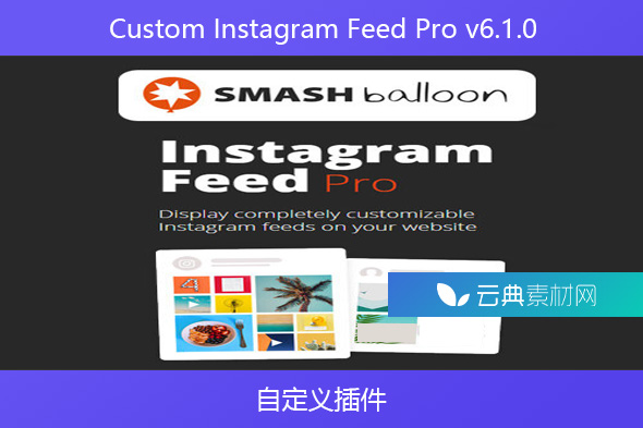 Custom Instagram Feed Pro v6.1.0 – 自定义插件