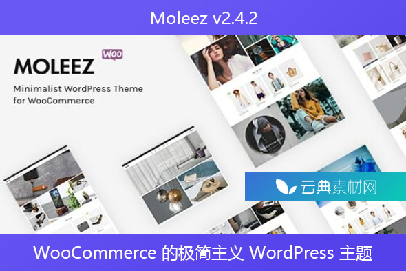 Moleez v2.4.2 – WooCommerce 的极简主义 WordPress 主题