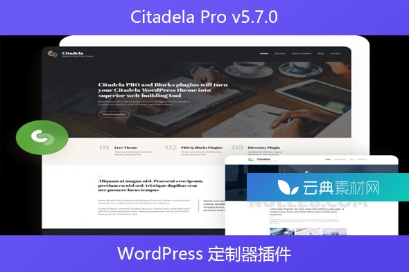 Citadela Pro v5.7.0 – WordPress 定制器插件