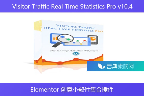 Visitor Traffic Real Time Statistics Pro v10.4 – WordPress 访客流量实时统计专业版插件