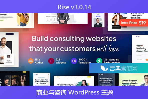 Rise v3.0.14 – 商业与咨询 WordPress 主题