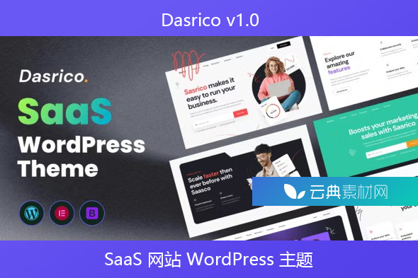 Dasrico v1.0 – SaaS 网站 WordPress 主题