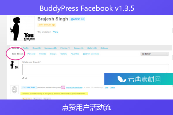 BuddyPress Facebook v1.3.5 – 点赞用户活动流