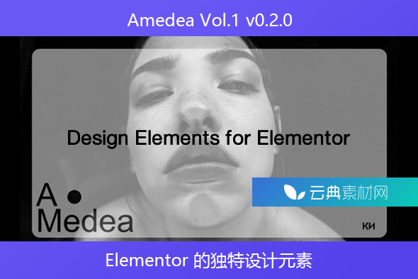 Amedea Vol.1 v0.2.0 – Elementor 的独特设计元素