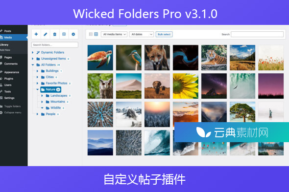 Wicked Folders Pro v3.1.0 – 自定义帖子插件