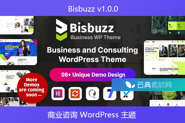 Bisbuzz v1.0.0 – 商业咨询 WordPress 主题